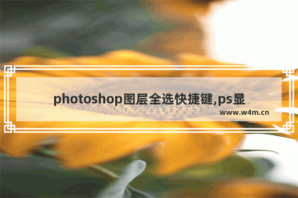 photoshop图层全选快捷键,ps显示全部图像快捷键