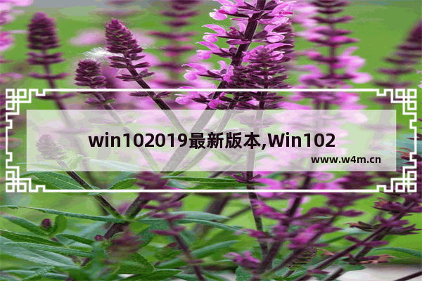 win102019最新版本,Win102019