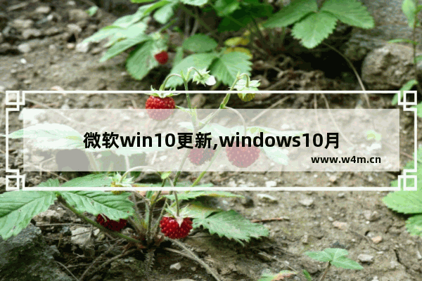 微软win10更新,windows10月更新