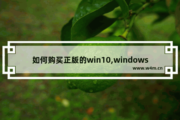 如何购买正版的win10,windows10正版系统怎么买