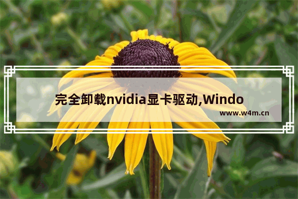 完全卸载nvidia显卡驱动,Windows卸载显卡驱动