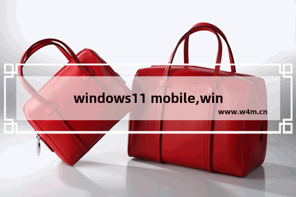 windows11 mobile,windows 10 mobile系统