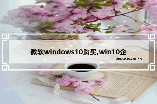 微软windows10购买,win10企业版购买要多少钱