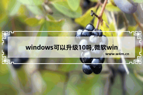 windows可以升级10吗,微软windows 10易升