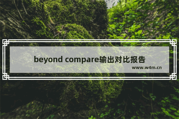 beyond compare输出对比报告,beyondcompare对比excel