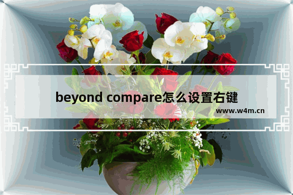 beyond compare怎么设置右键,beyondcompare怎么加入右键菜单