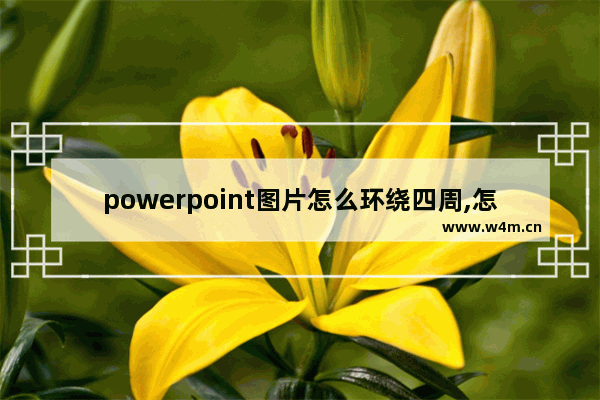 powerpoint图片怎么环绕四周,怎么在ppt中将图片设置为四周环绕型图片