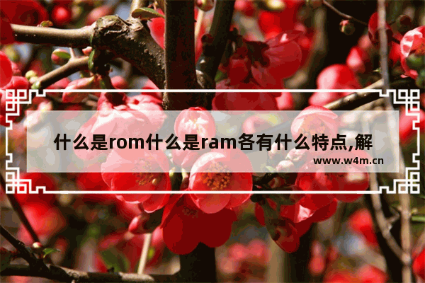 什么是rom什么是ram各有什么特点,解释ram和rom