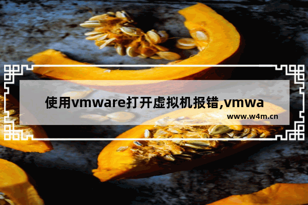 使用vmware打开虚拟机报错,vmware显示内部错误