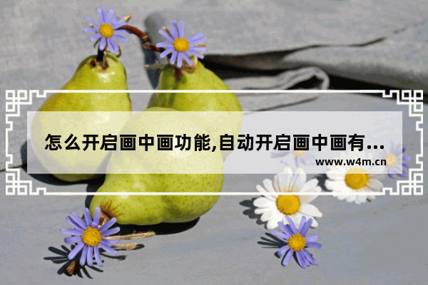 怎么开启画中画功能,自动开启画中画有什么用