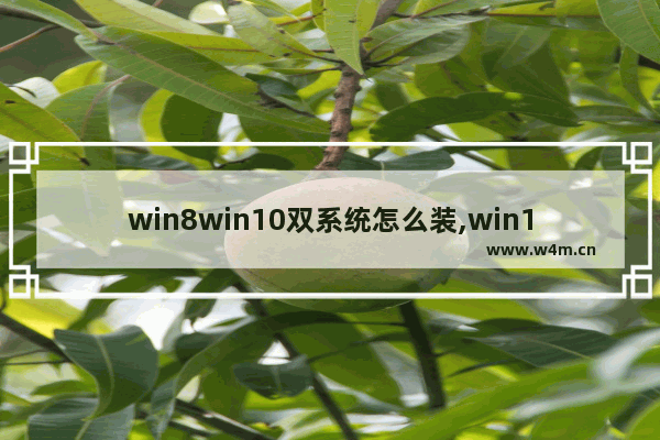 win8win10双系统怎么装,win10和win7双系统安装方法