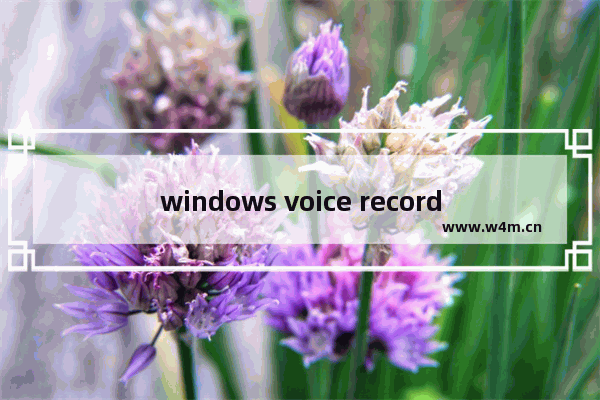 windows voice recorder,voicerecorder使用