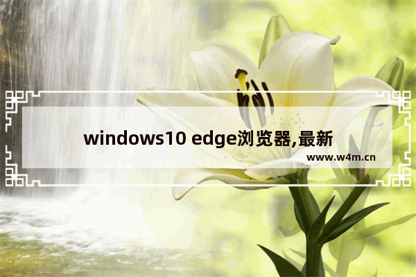 windows10 edge浏览器,最新的edge浏览器版本