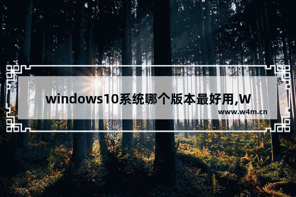 windows10系统哪个版本最好用,Win10哪个版本最好用