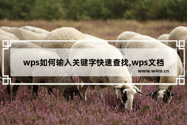 wps如何输入关键字快速查找,wps文档怎么搜索关键字查到