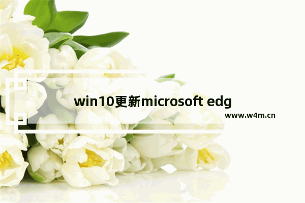 win10更新microsoft edge,surface pro 固件更新