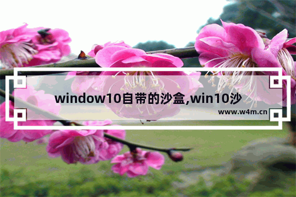 window10自带的沙盒,win10沙盒怎么使用