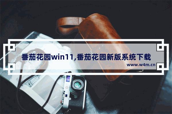 番茄花园win11,番茄花园新版系统下载