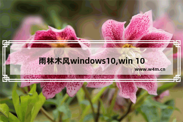 雨林木风windows10,win 10家庭版升级win 10专业版