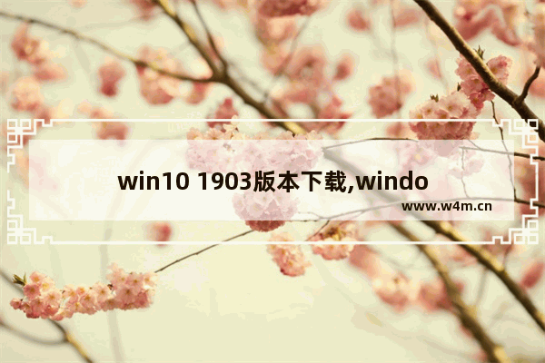 win10 1903版本下载,windows10 1903更新