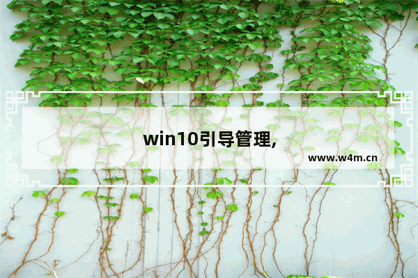 win10引导管理,