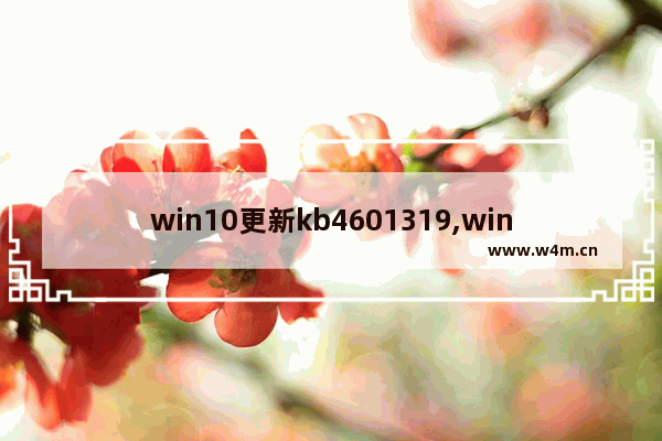 win10更新kb4601319,win10更新kb4579311_2