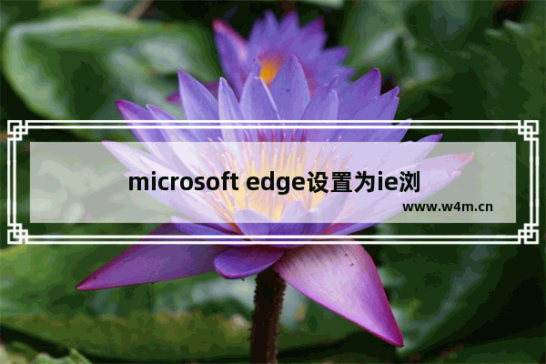 microsoft edge设置为ie浏览器,edge下的ie模式