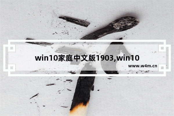 win10家庭中文版1903,win10家庭版1904