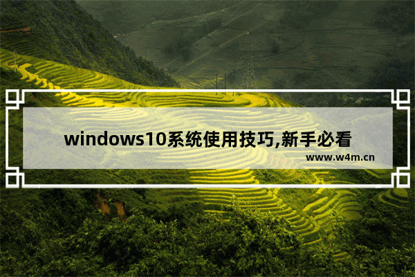 windows10系统使用技巧,新手必看的win10基本操作技巧