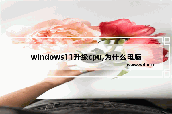 windows11升级cpu,为什么电脑win 10老是更新配置