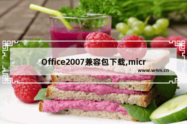 Office2007兼容包下载,microsoft office2007文件格式兼容包