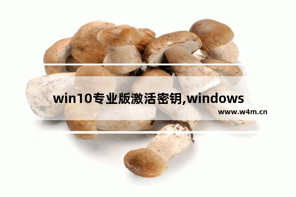 win10专业版激活密钥,windows10永久激活码 win10专业版密钥