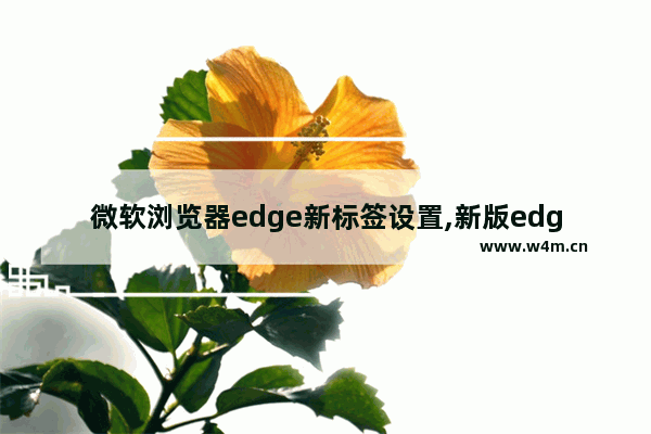 微软浏览器edge新标签设置,新版edge浏览器设置默认主页