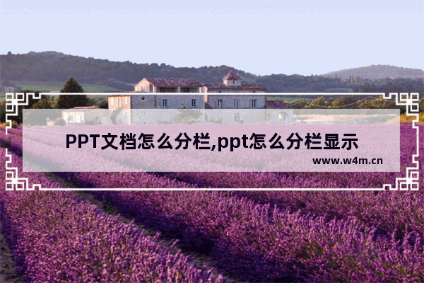 PPT文档怎么分栏,ppt怎么分栏显示