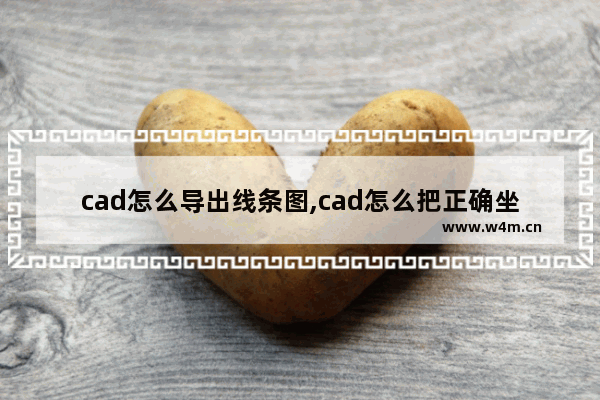 cad怎么导出线条图,cad怎么把正确坐标导入图纸