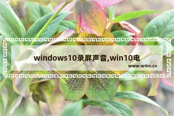 windows10录屏声音,win10电脑怎么录音内部