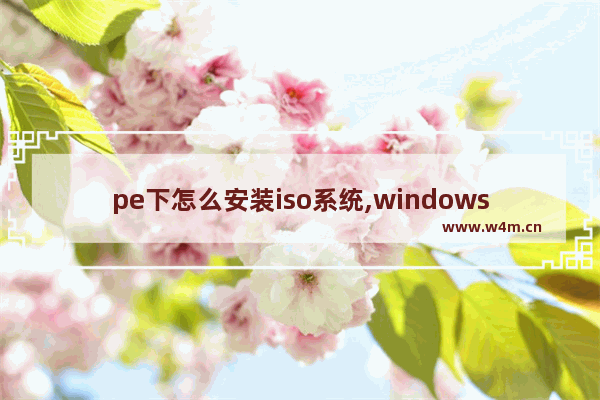 pe下怎么安装iso系统,windows10 pe iso