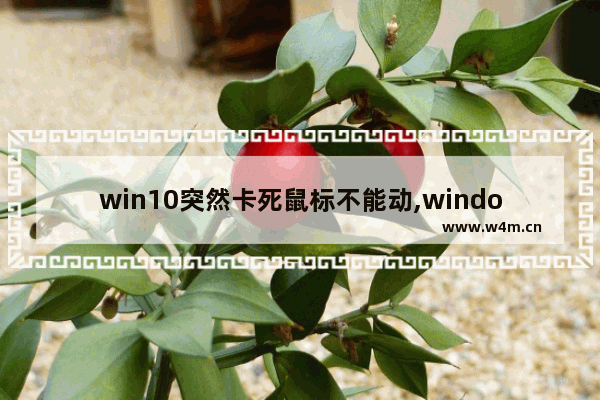 win10突然卡死鼠标不能动,windows10卡住了鼠标不能动