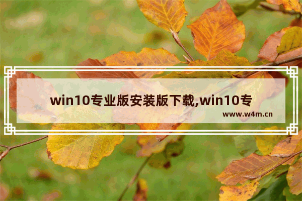 win10专业版安装版下载,win10专业版如何下载安装