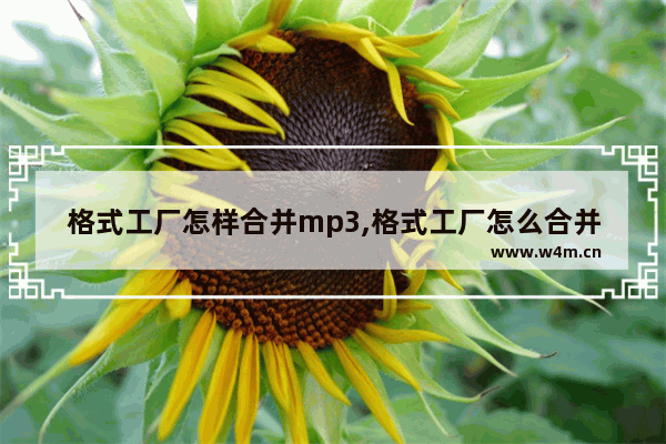 格式工厂怎样合并mp3,格式工厂怎么合并两个音频