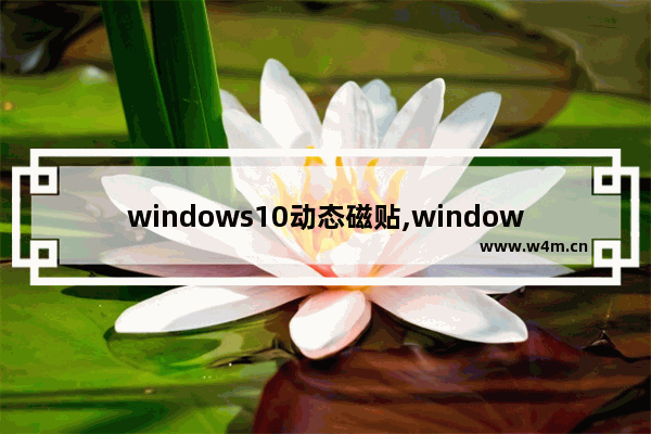 windows10动态磁贴,windows照片动态磁贴