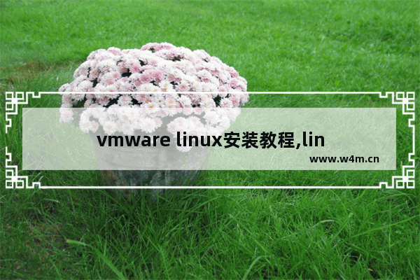 vmware linux安装教程,linux系统虚拟机安装步骤