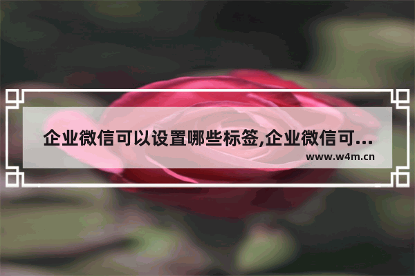 企业微信可以设置哪些标签,企业微信可以添加标签吗