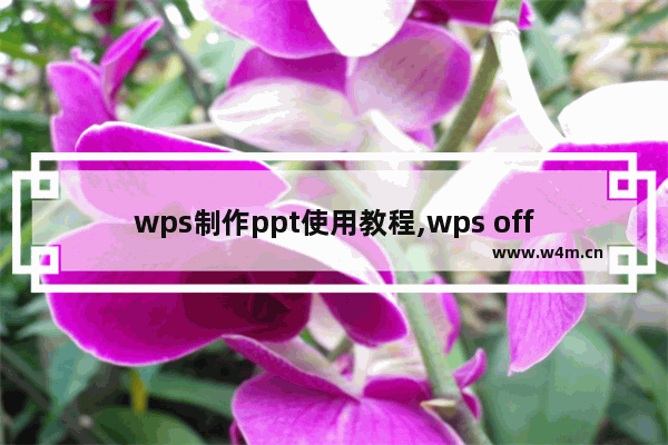 wps制作ppt使用教程,wps office怎么制作ppt步骤