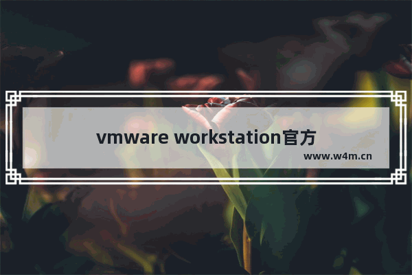 vmware workstation官方下载,vmware workstation免费下载