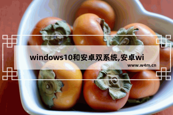 windows10和安卓双系统,安卓windows双系统手机