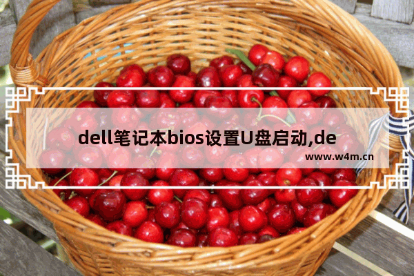 dell笔记本bios设置U盘启动,dell台式 bios设置u盘启动