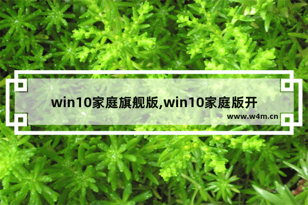 win10家庭旗舰版,win10家庭版开发者选项