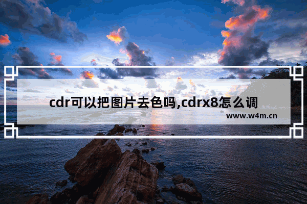 cdr可以把图片去色吗,cdrx8怎么调颜色