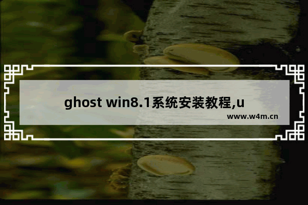 ghost win8.1系统安装教程,u盘安装ghostwin10系统详细教程